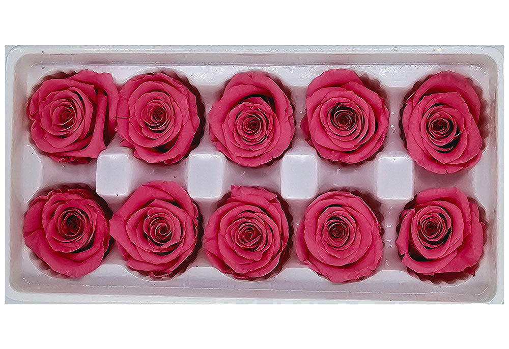 10 Preserved Roses In A Box - Sweet Pink