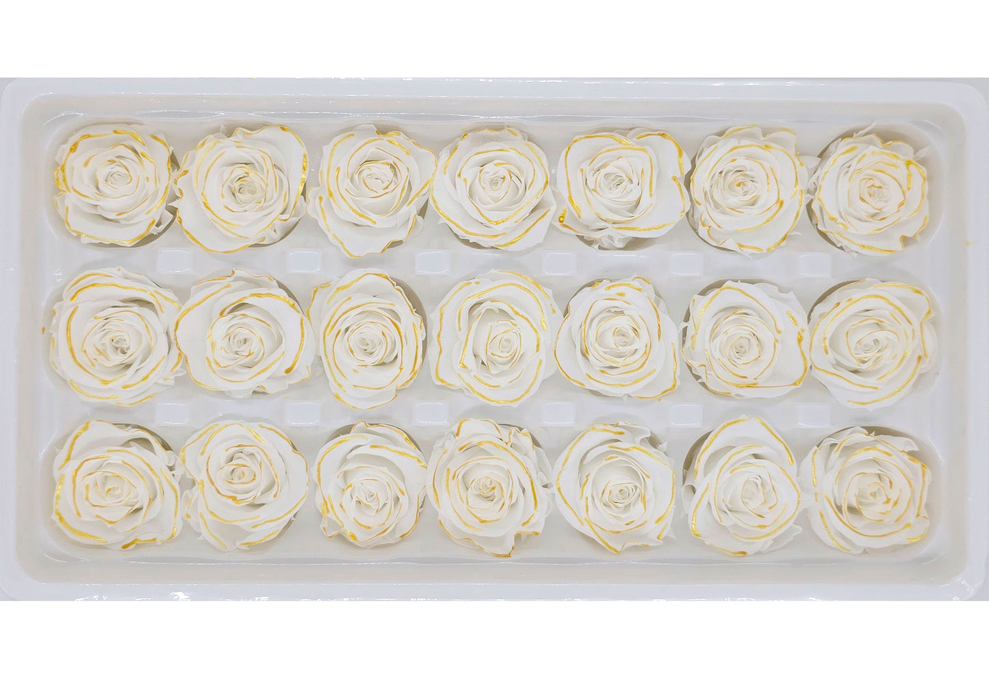 21 Preserved Roses In A Box- White/Yellow