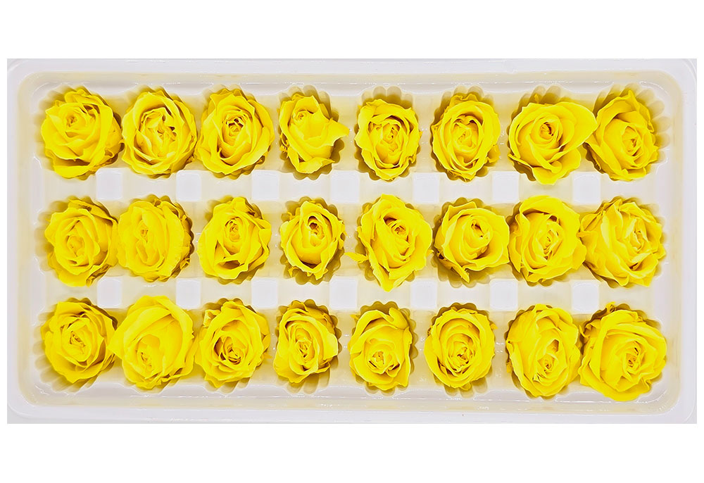 21 Preserved Roses In A Box - Yellow