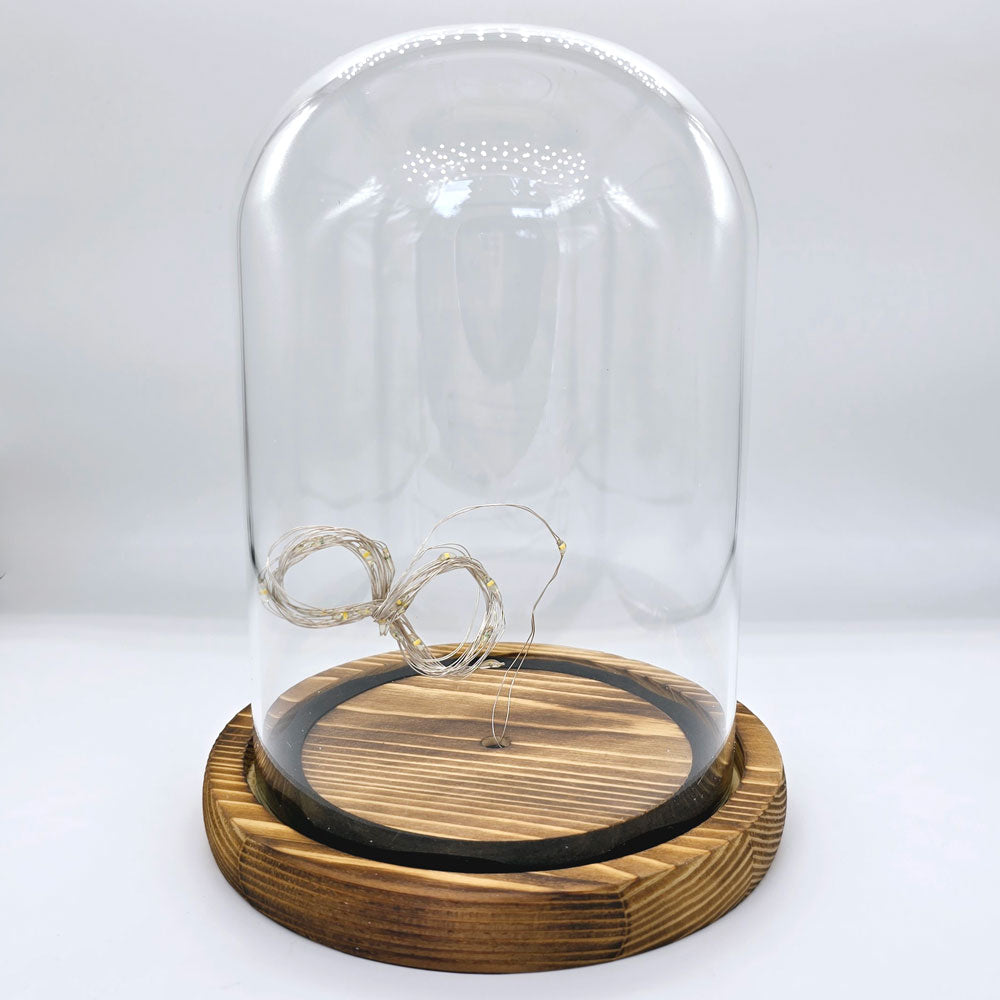 Glass Bell Jar with Light and EVA Rubber Lock #BJ1