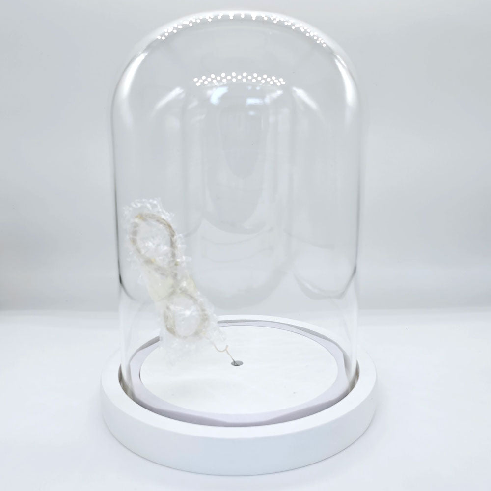 Glass Bell Jar with Light and EVA Rubber Lock #BJ1