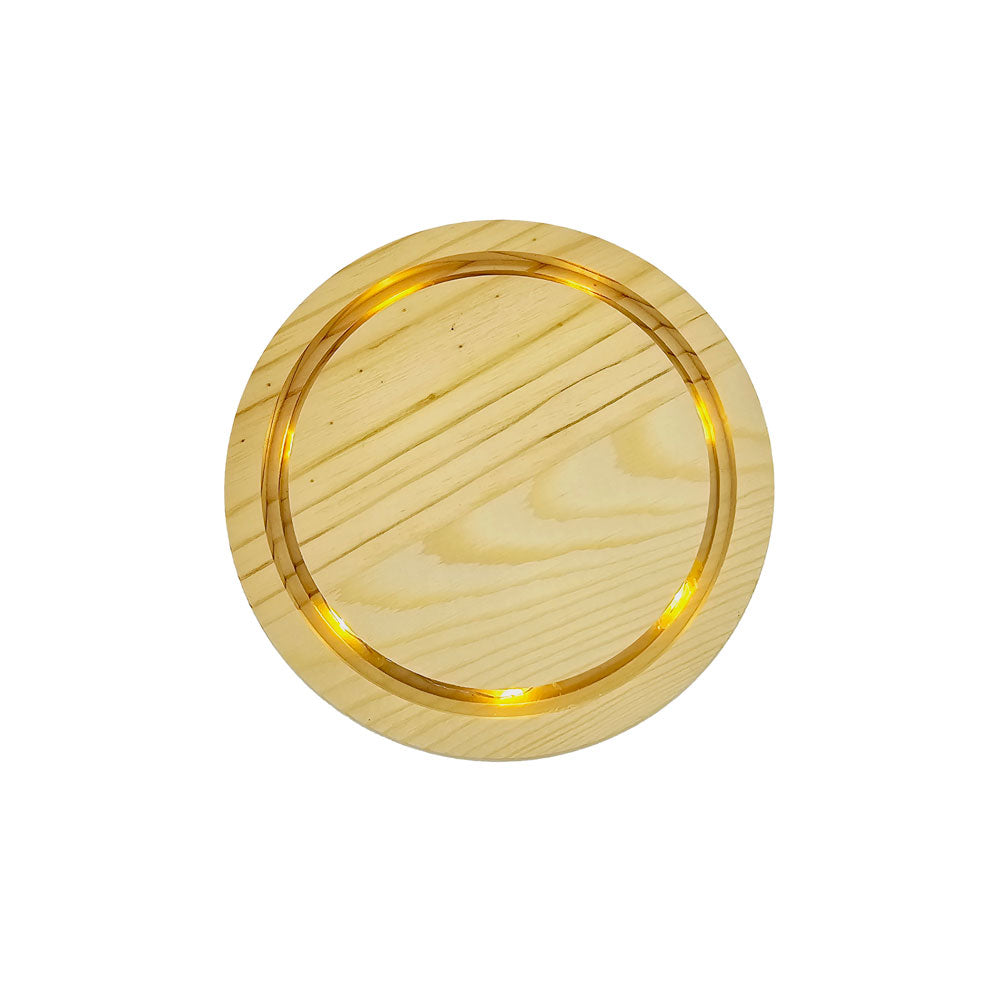 Glass Bell Jar with Light #BJ2