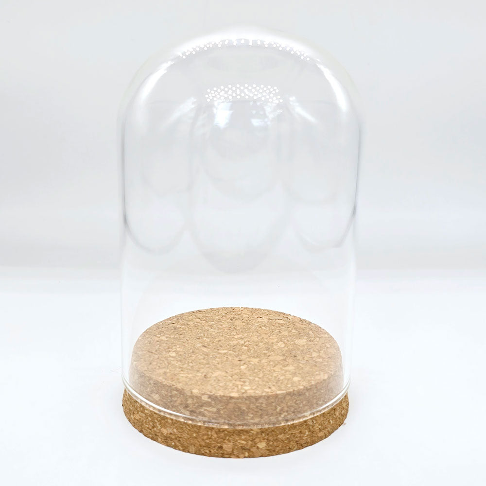 Glass Bell Jar #BJ3