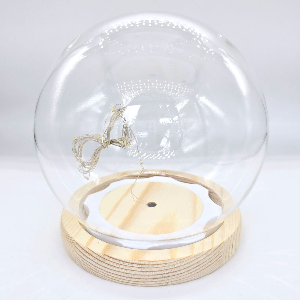 Round Glass Bell Jar with Light and EVA Rubber Lock #BJ5