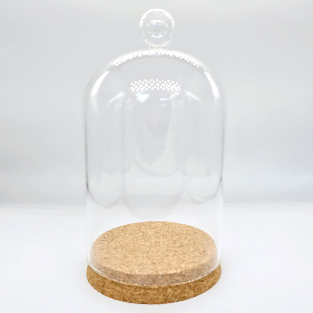 Glass Bell Jar #BJ7