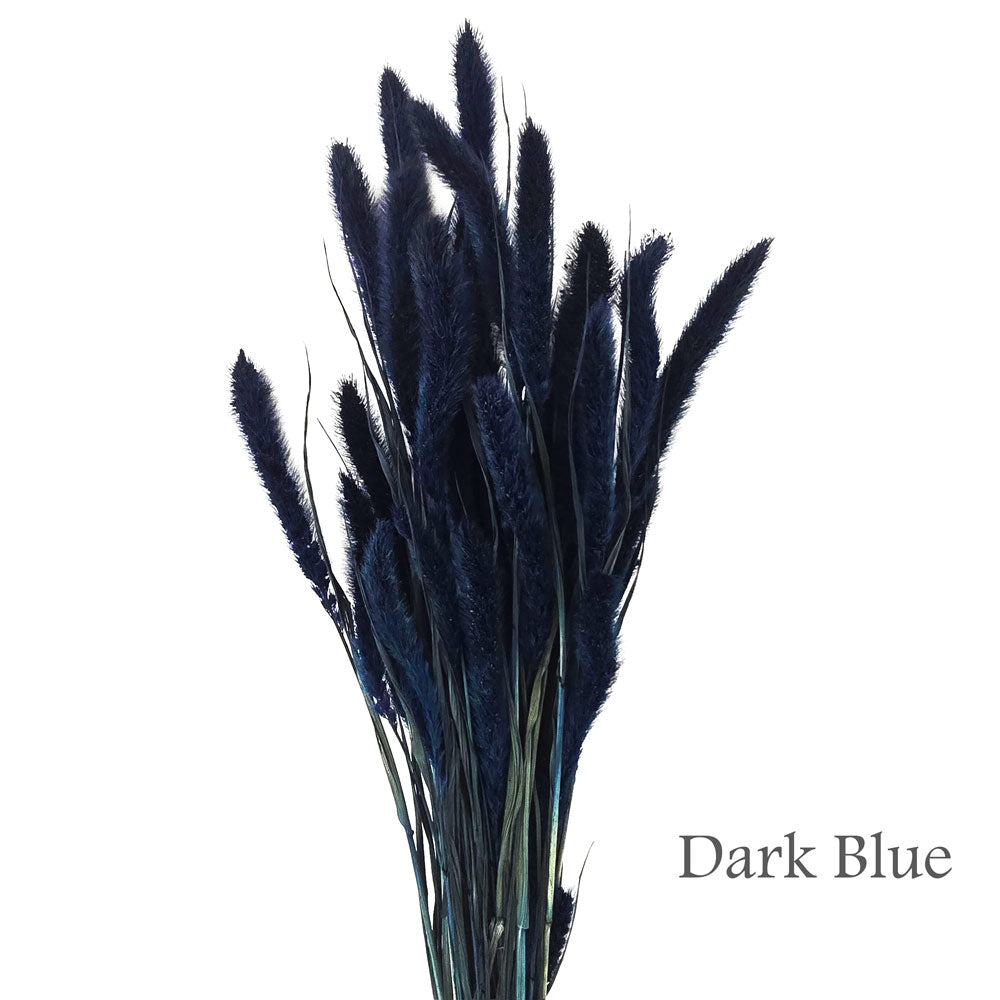 Dried Foxtail Grass #DF5