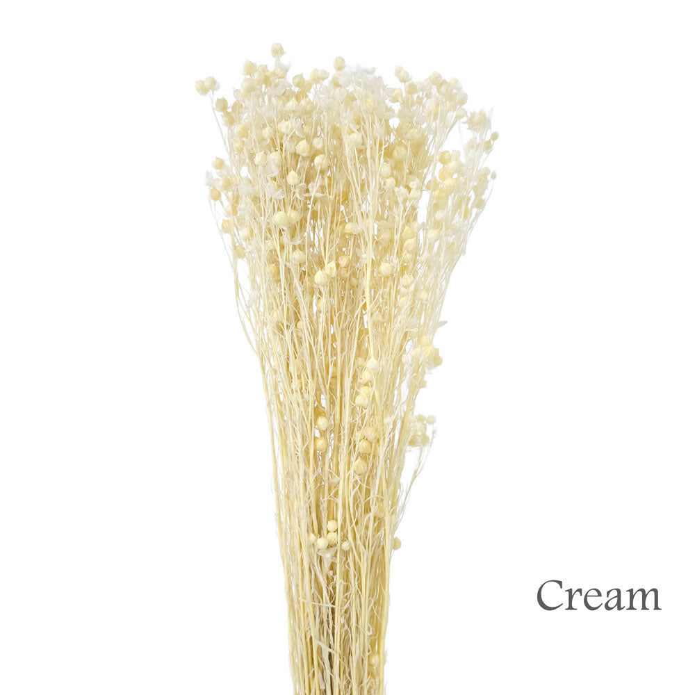 Dried Linseed #DFO22