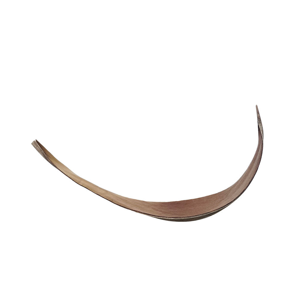 Dried Cocoa Leaf #DFO23