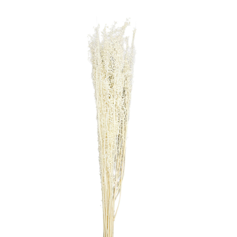 Dried Foliage #DFO27