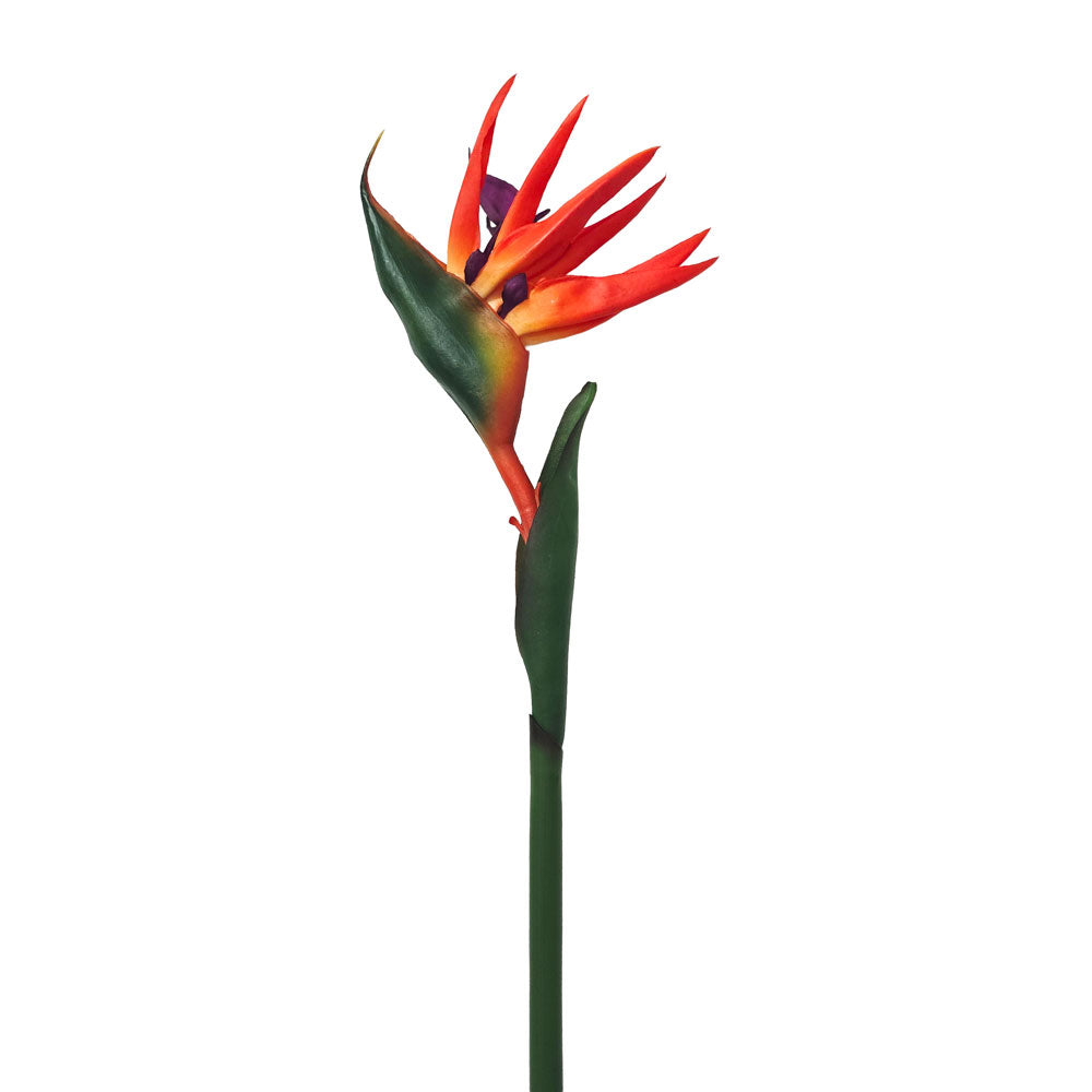 Faux Bird of Paradise Flower #FF105