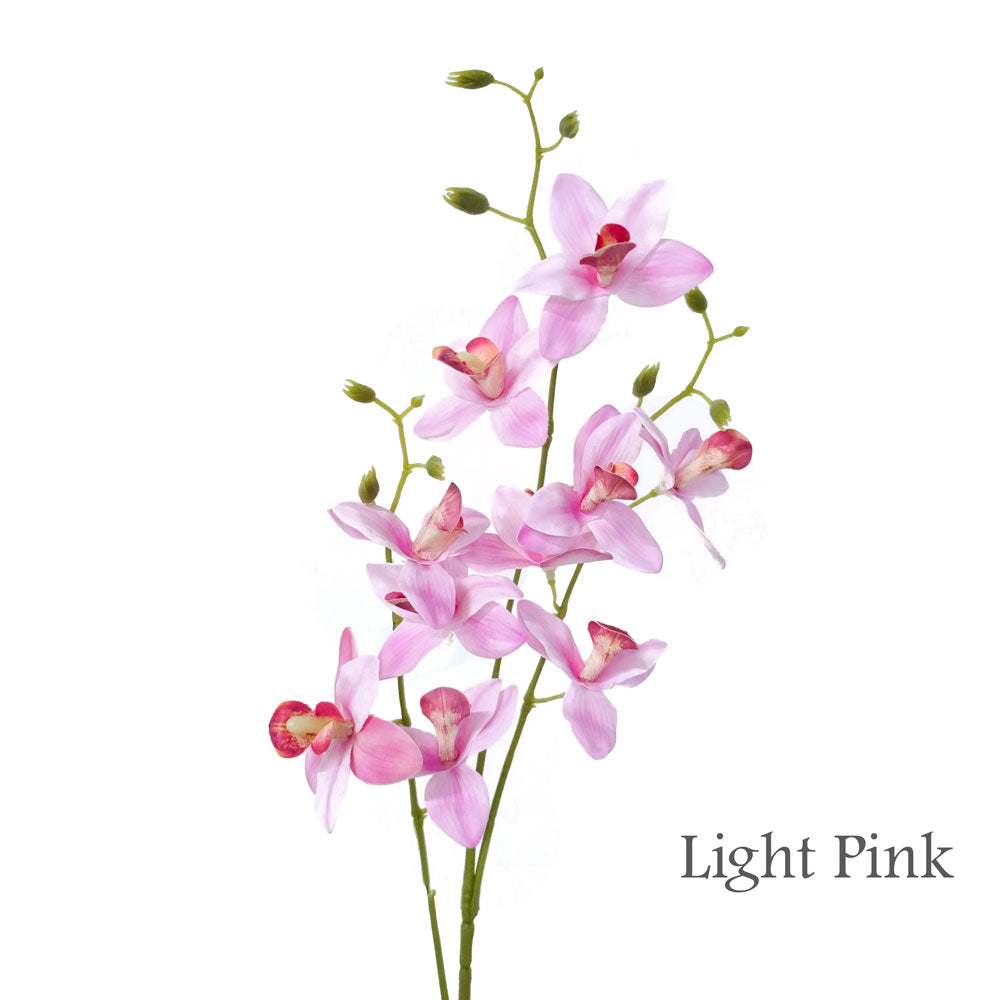 Faux Orchid #FF179