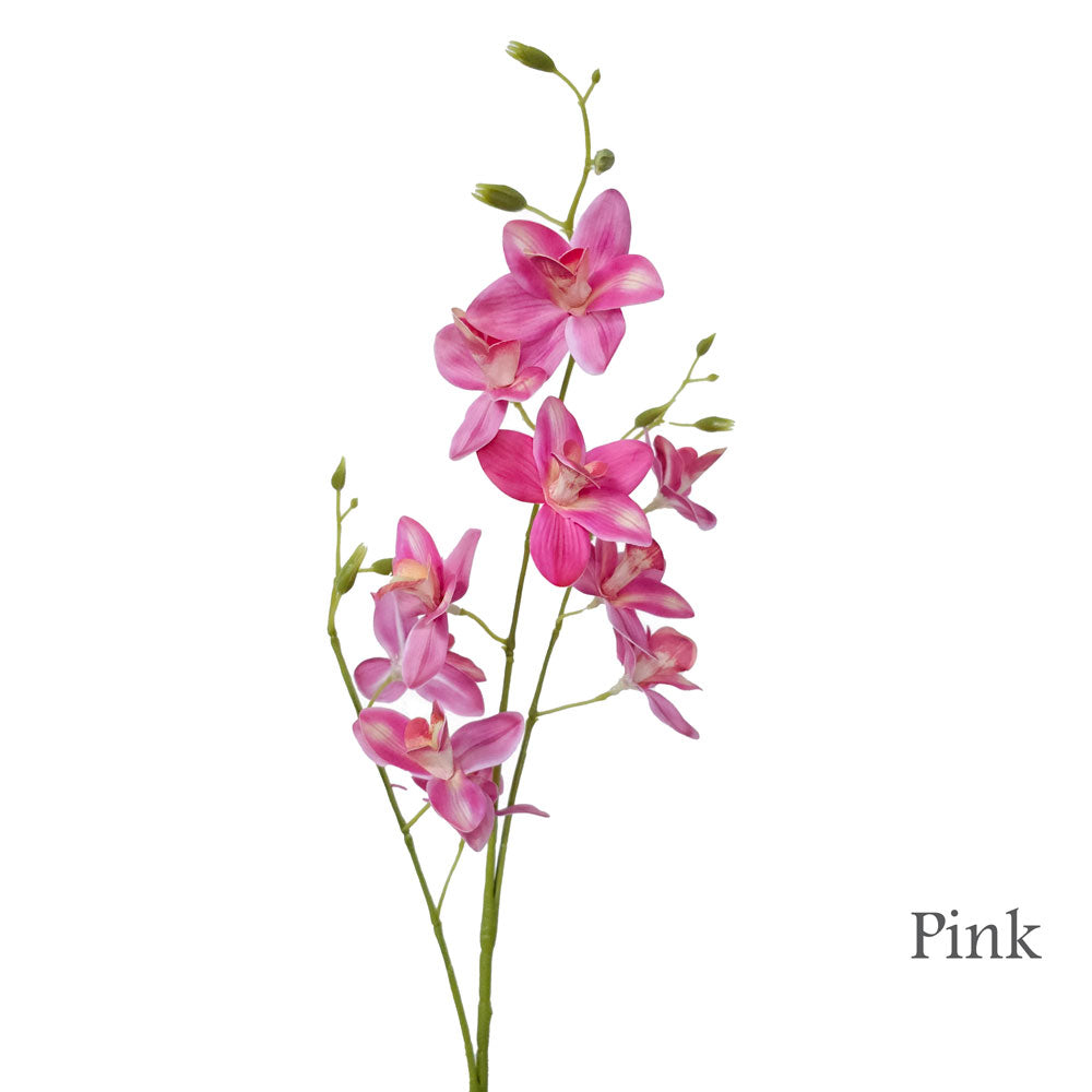 Faux Orchid #FF179