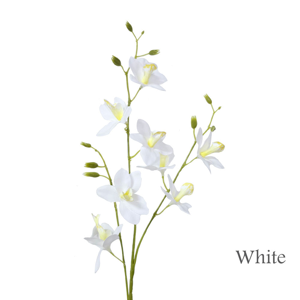 Faux Orchid #FF179