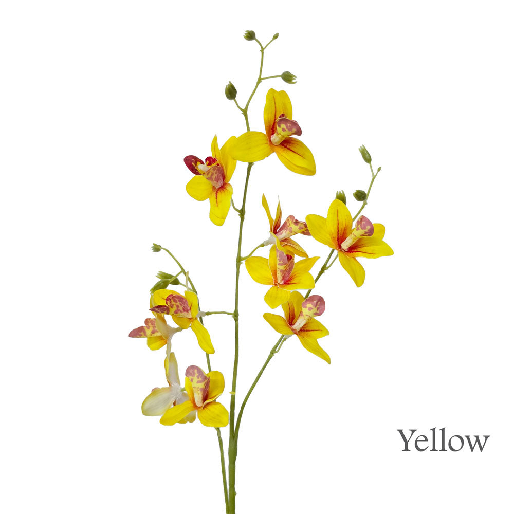 Faux Orchid #FF179