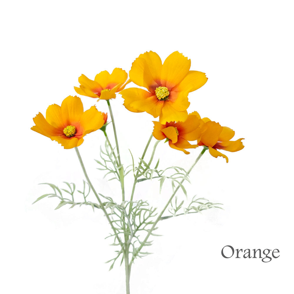 Faux Small Cosmo Flower #FF184