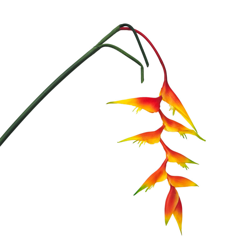 Faux Hanging Bird of Paradise Flower #FF196