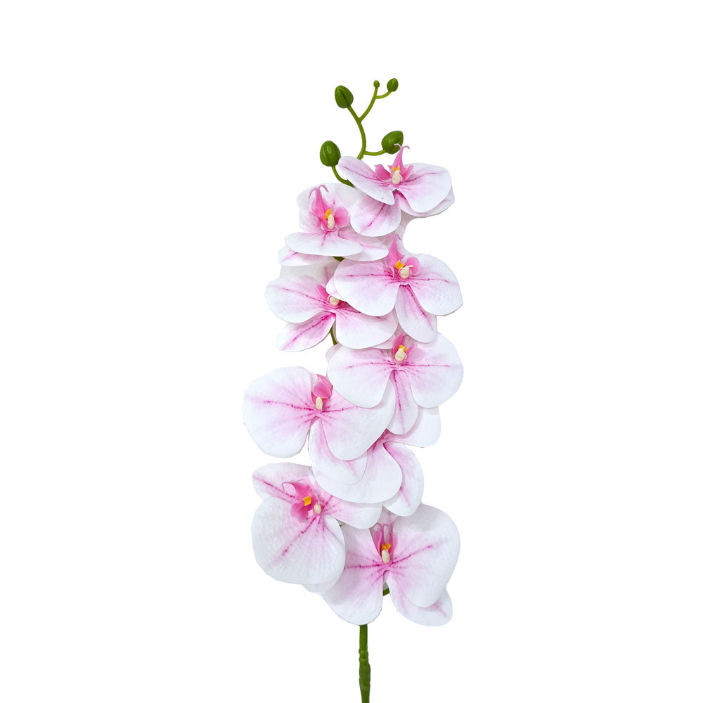 Faux Phalaenopsis Orchid #FF222