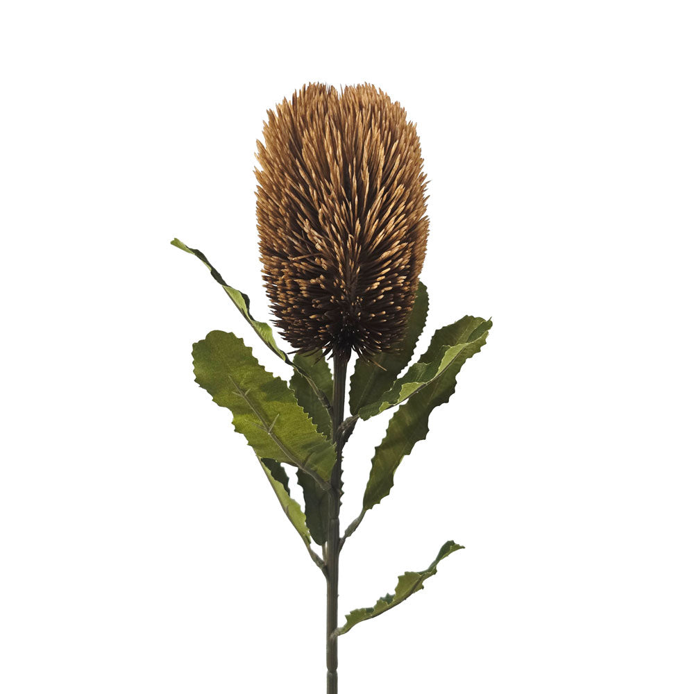Faux Banksia Stem #FF226