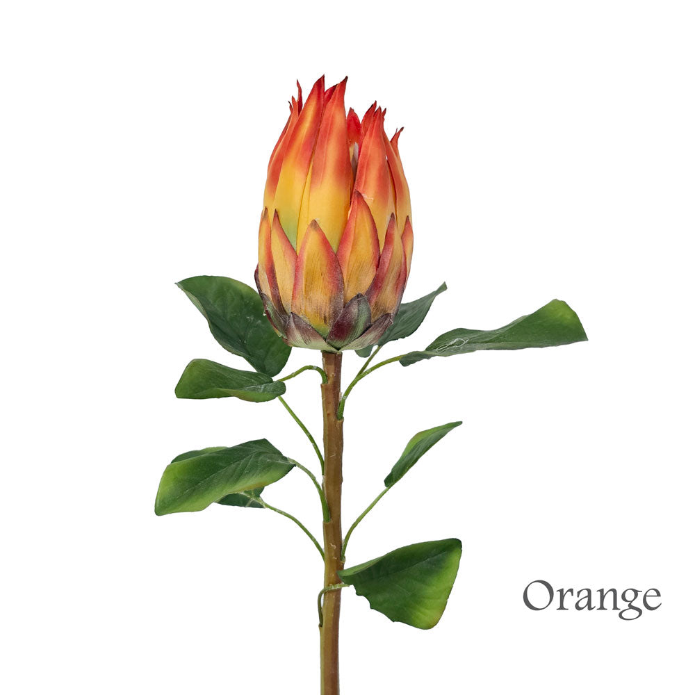 Faux King Protea #FF36