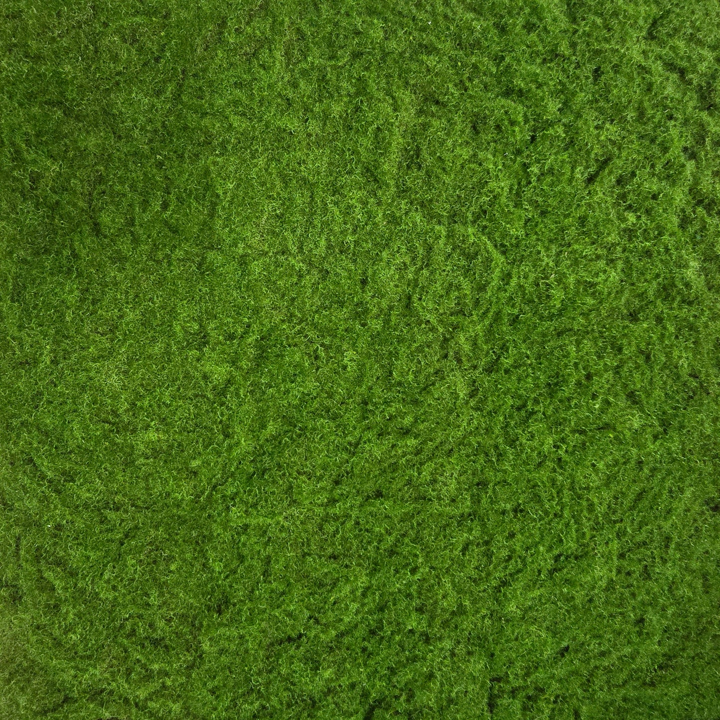 Faux Moss Carpet #FFO143