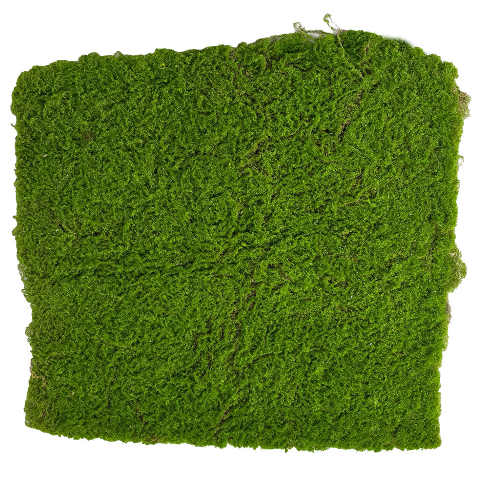 Faux Moss Carpet #FFO178