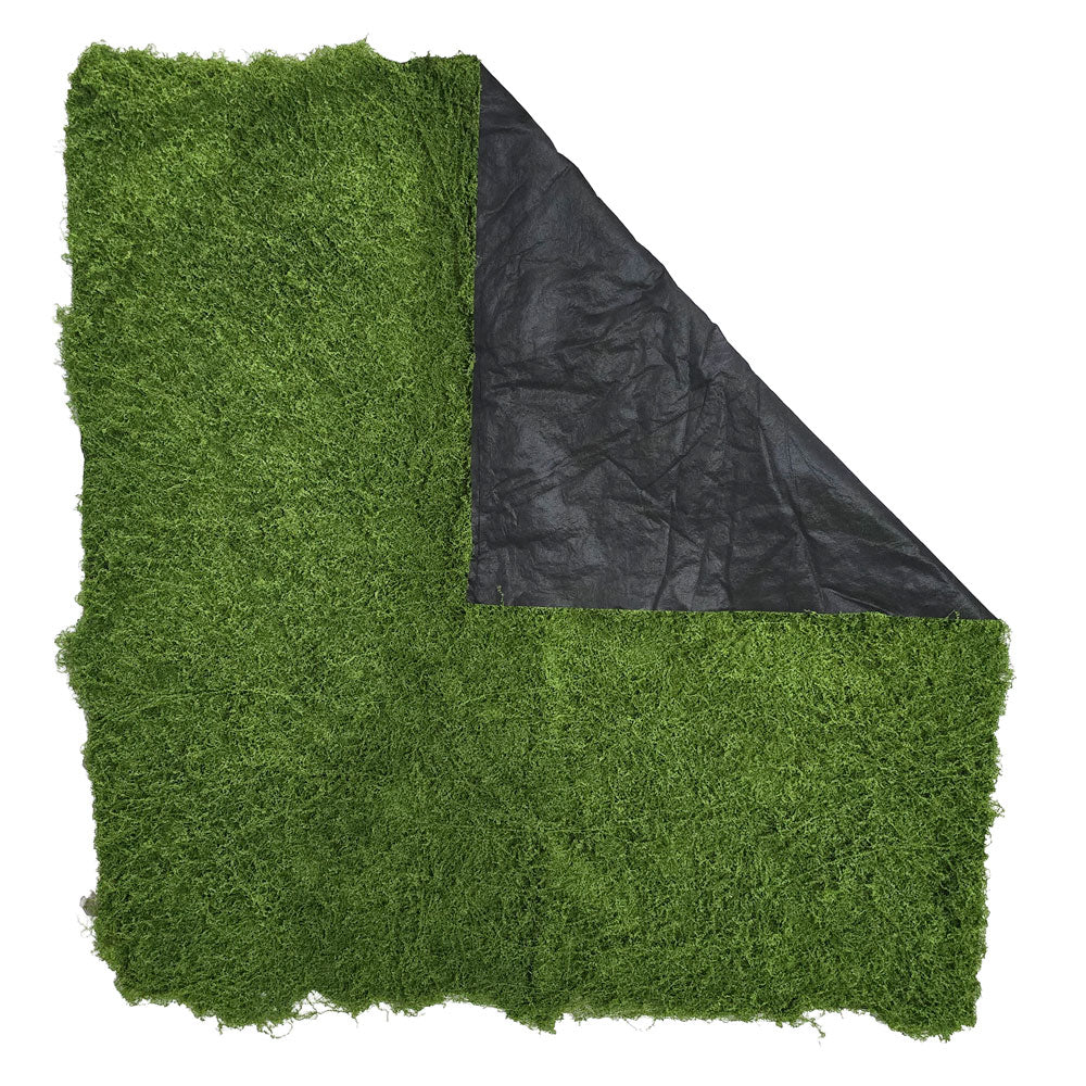 Faux Moss Carpet #FFO179