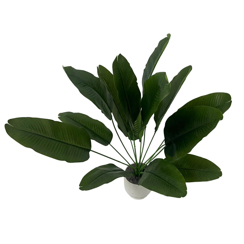 Faux Caladium Leaves #FFO204