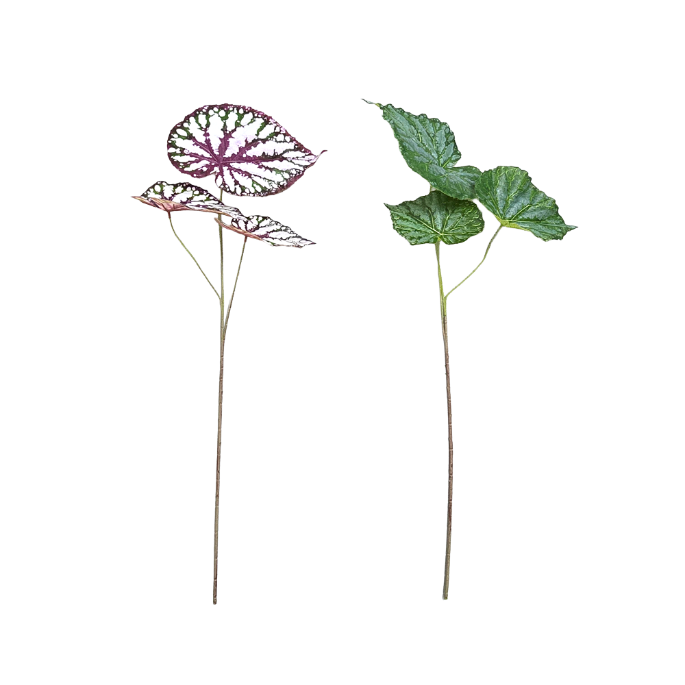 Faux Real-touch Begonia Leaves #FFO206
