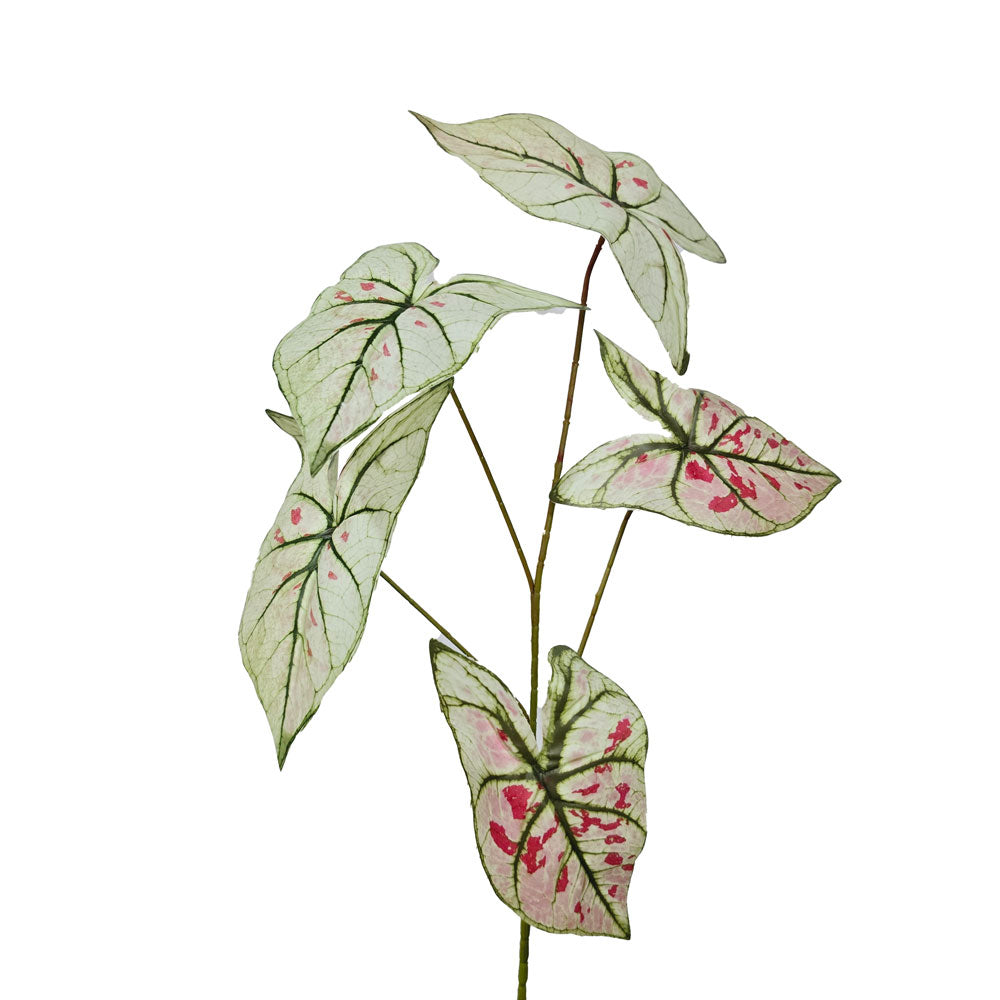Faux Caladium Leaves #FFO85
