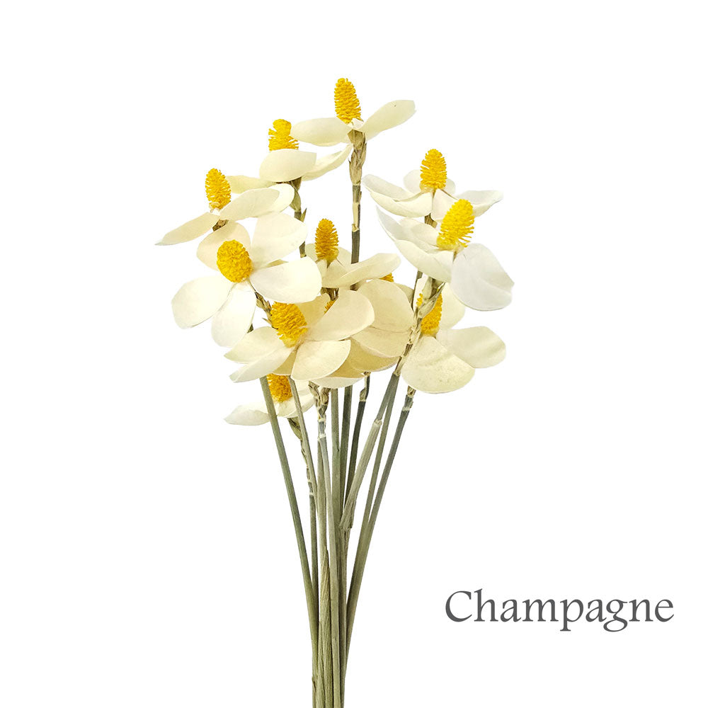 Handmade Flower #HF22