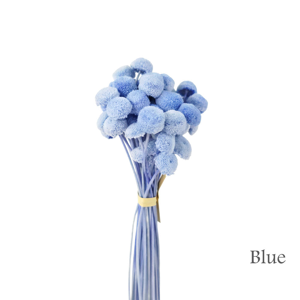 Handmade Flower #HF35