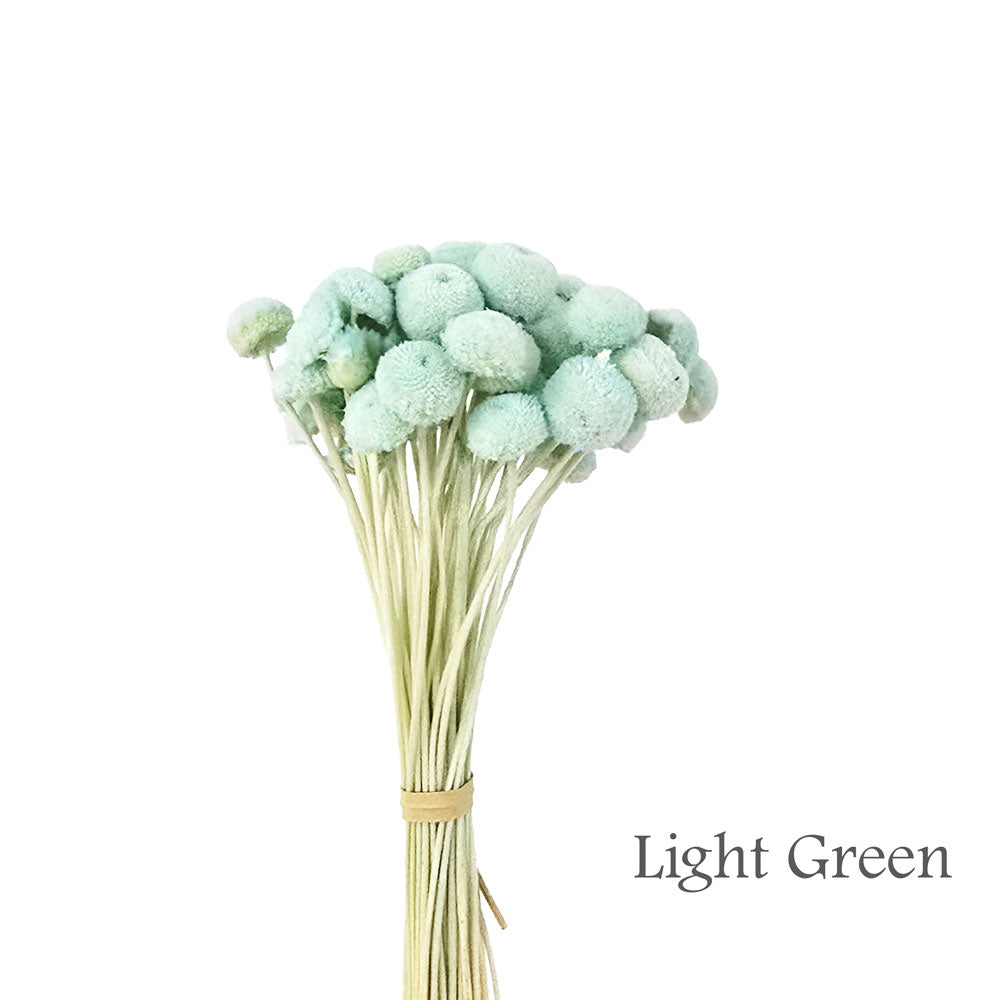 Handmade Flower #HF35