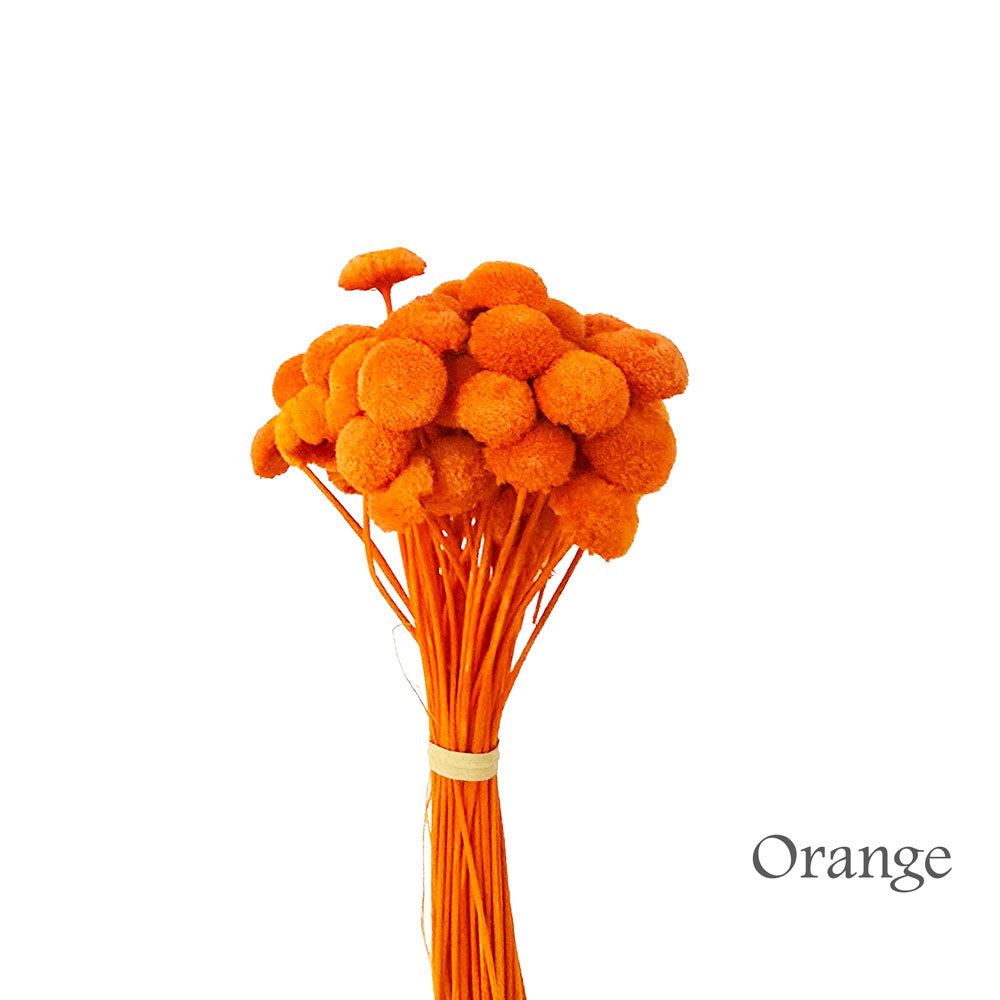 Handmade Flower #HF35