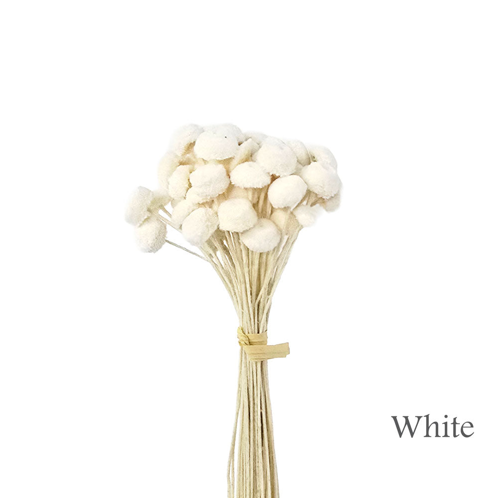 Handmade Flower #HF35