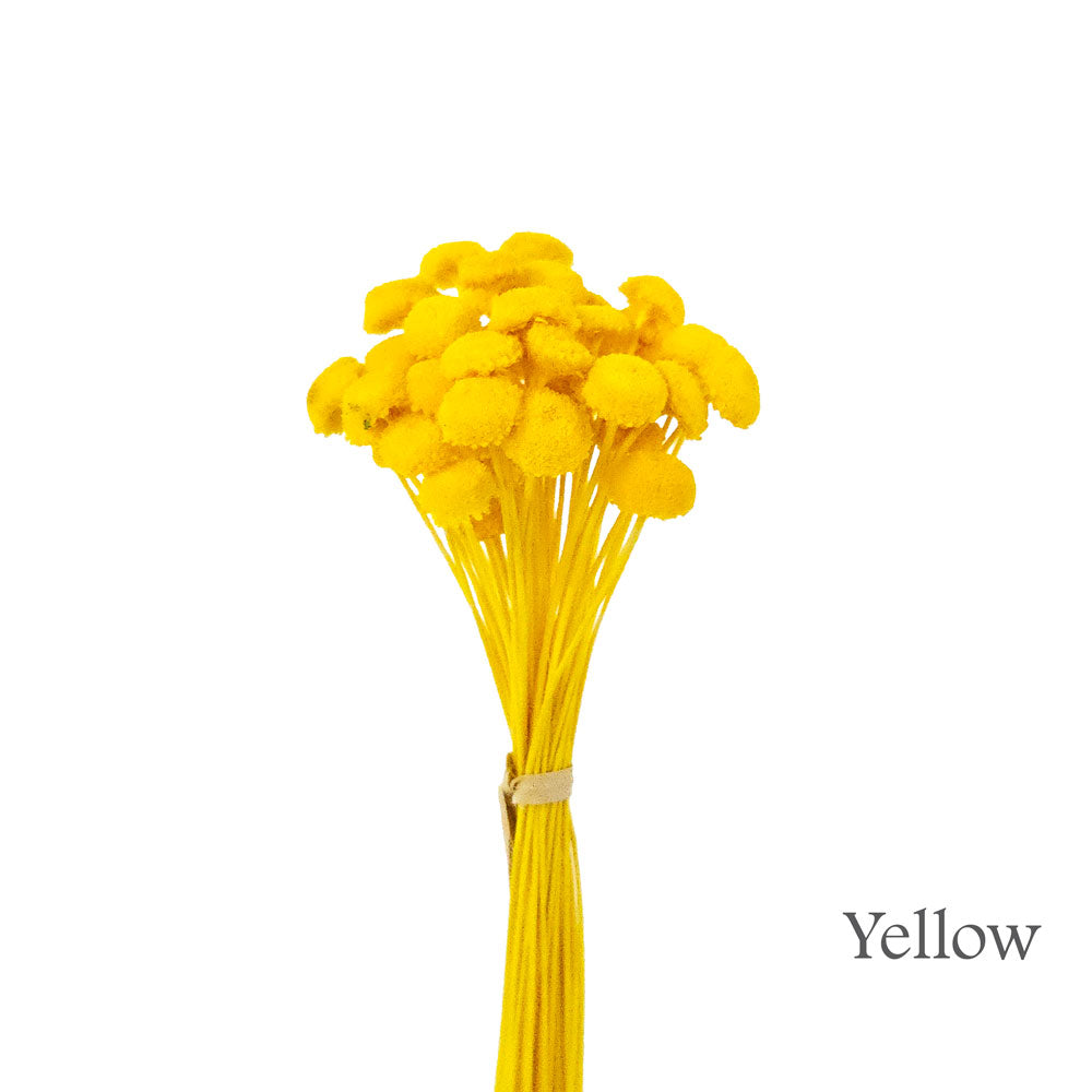 Handmade Flower #HF35