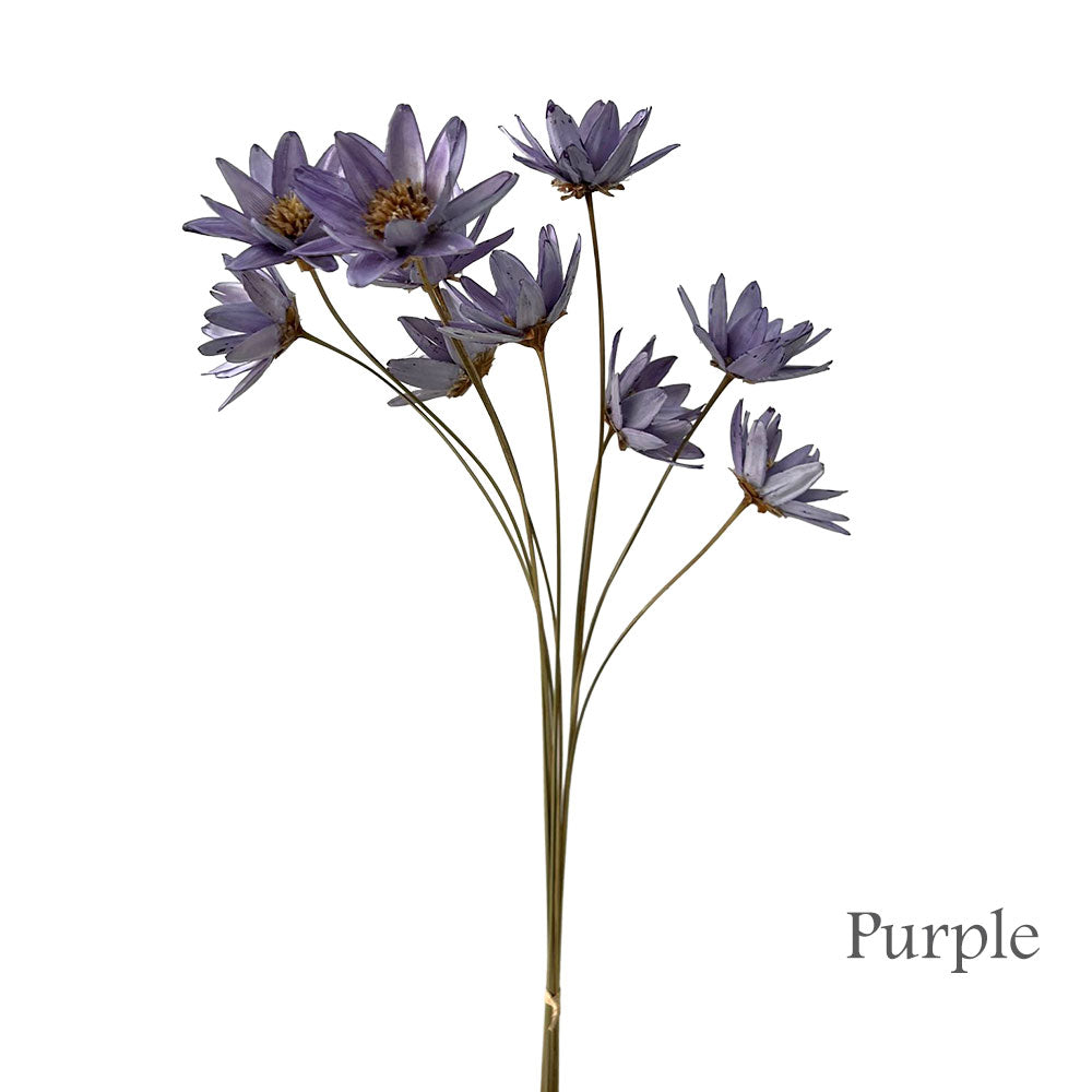 Japanese Daisy Handmade Flower #HF36