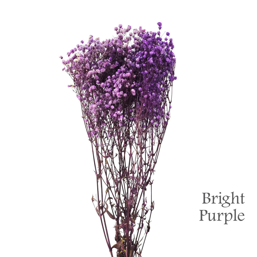 Preserved Baby Breath #PF4