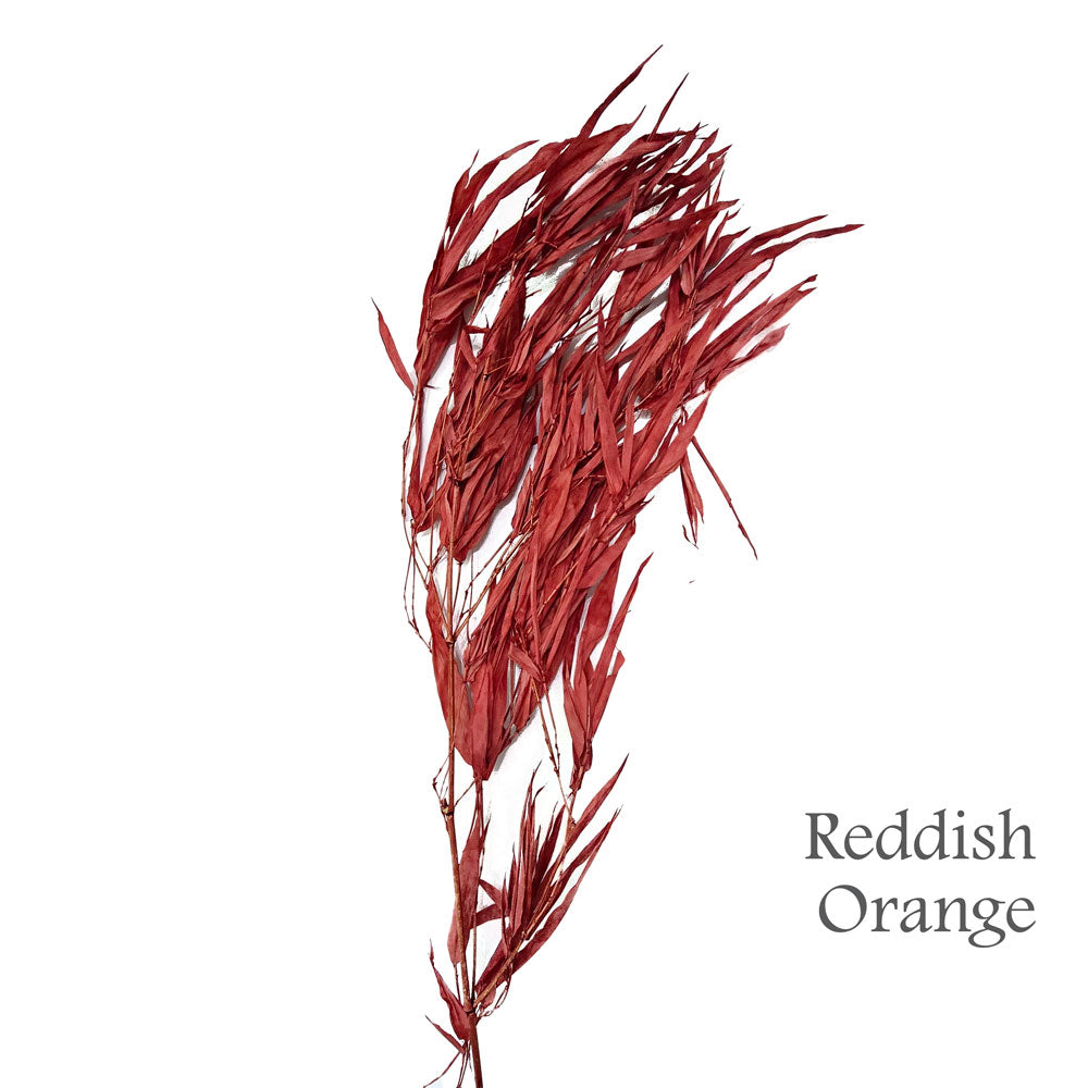 Preserved Bamboo Leaves #PFO32