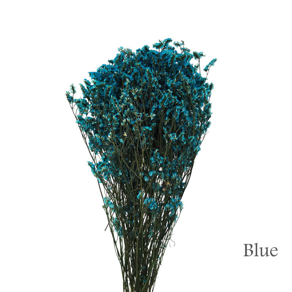Preserved Limonium #PFO54