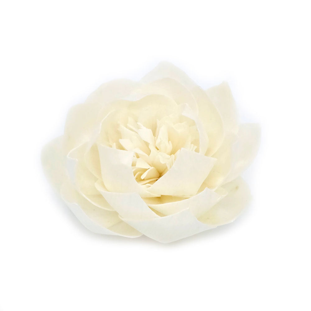 Sola Wood Peony Flower #SF37