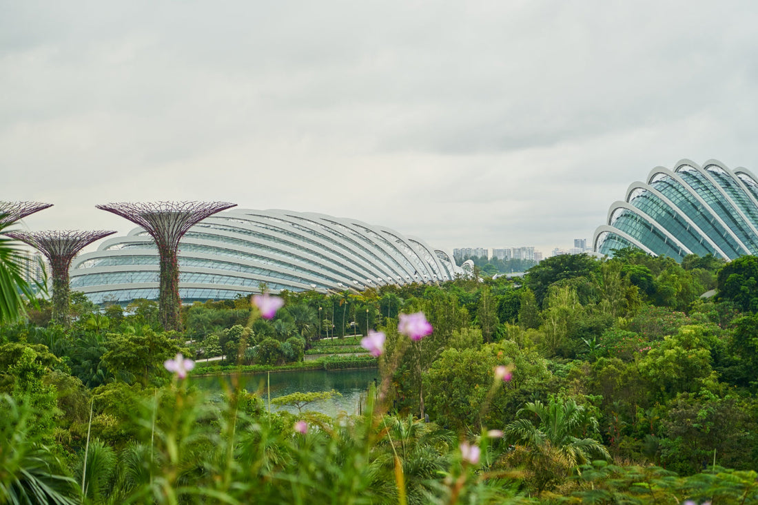 Tropical Resilience: Overcoming Singapore's 80% Humidity