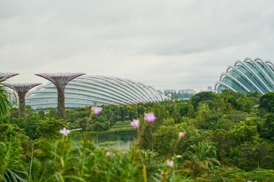 Tropical Resilience: Overcoming Singapore's 80% Humidity