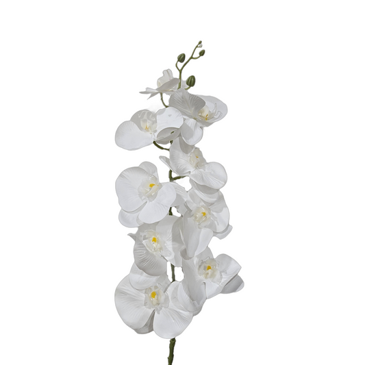 Faux phalaenopsis orchid for a Singapore office