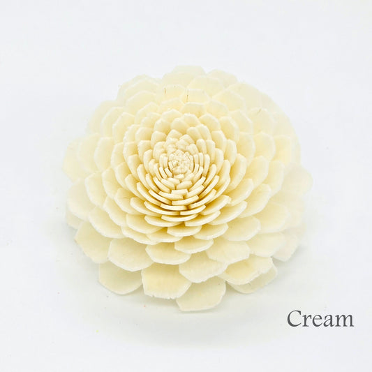 Sola wood flowers, a sustainable office flower choice