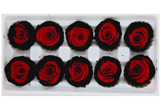 10 Preserved Roses In A Box - Black & Red