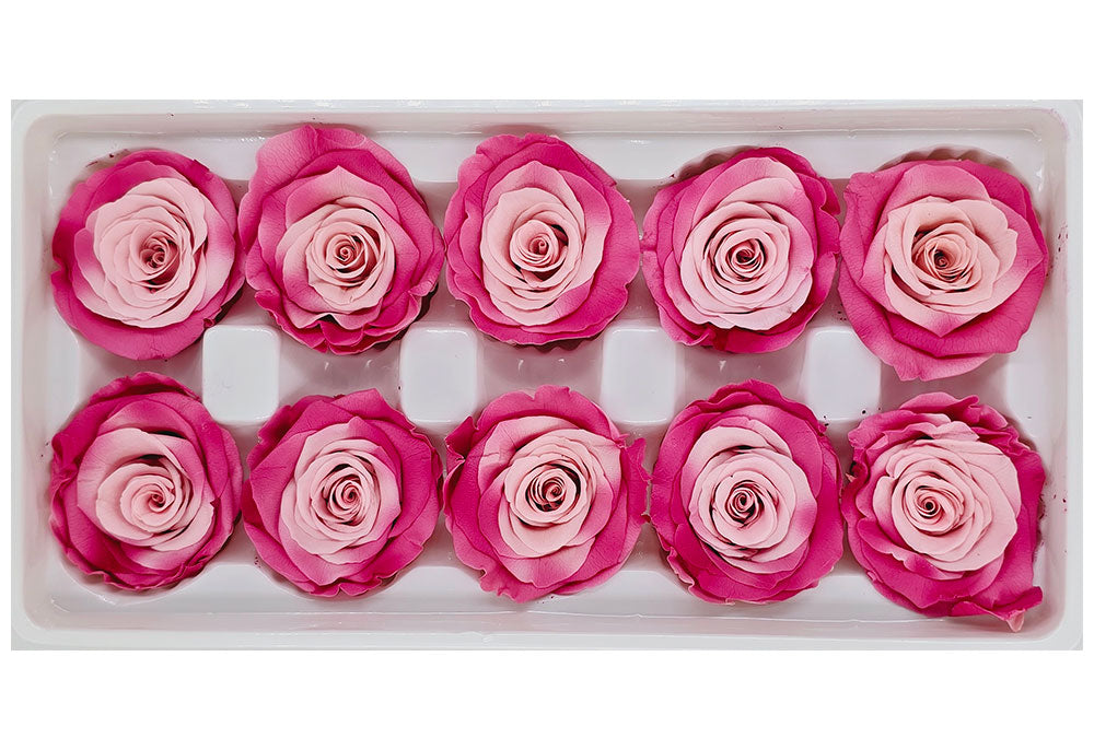 10 Preserved Roses In A Box - Light & Dark Pink