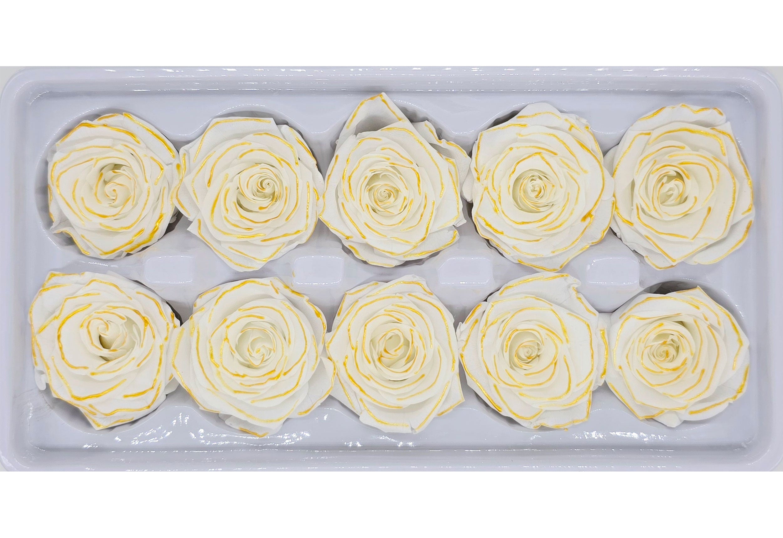 Wholesale Preserved Roses | 10 Roses In A Box - White/Yellow Colour ...