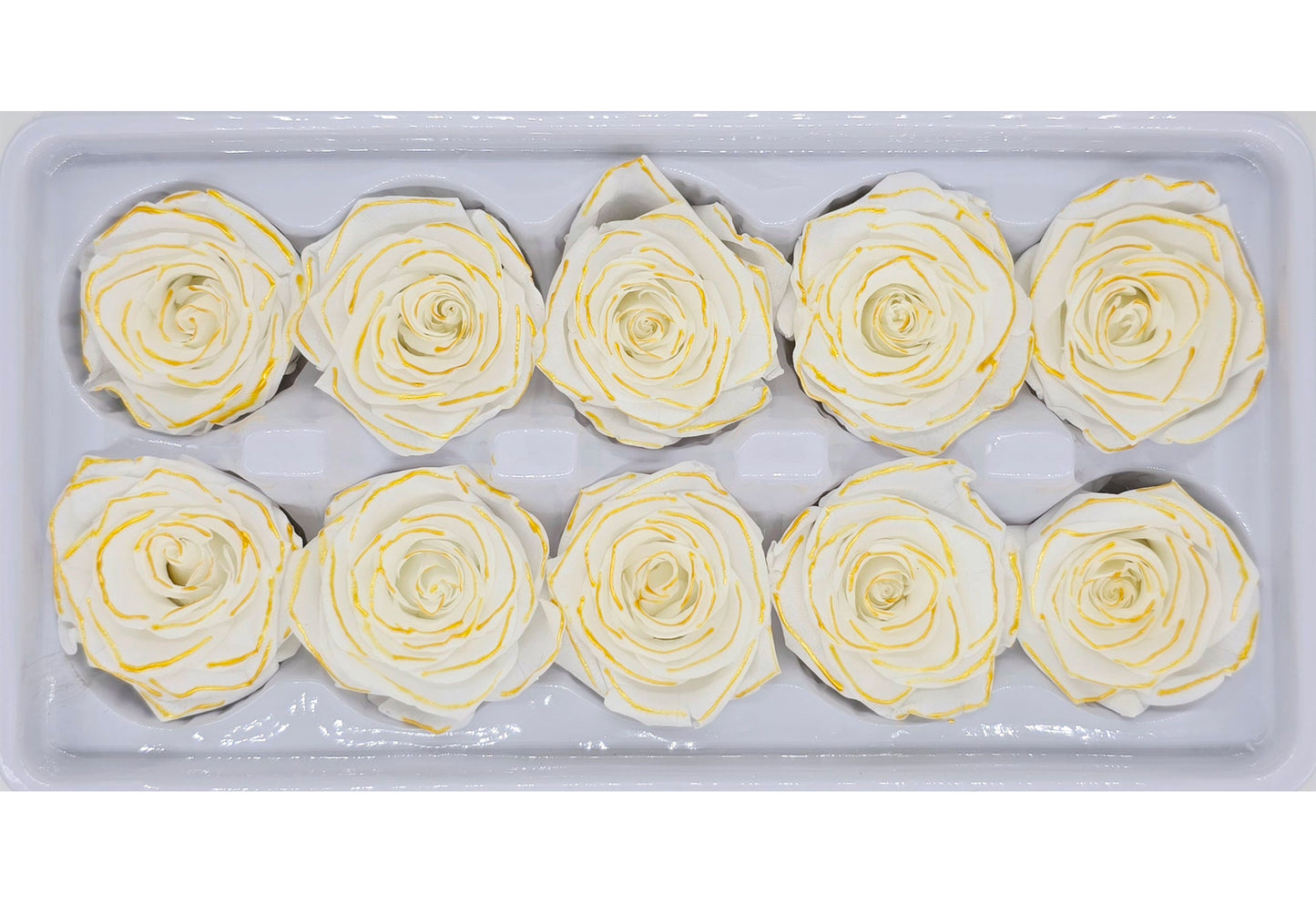 10 Preserved Roses In A Box- White/Yellow