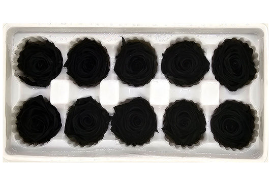 10 Preserved Roses In A Box - Black