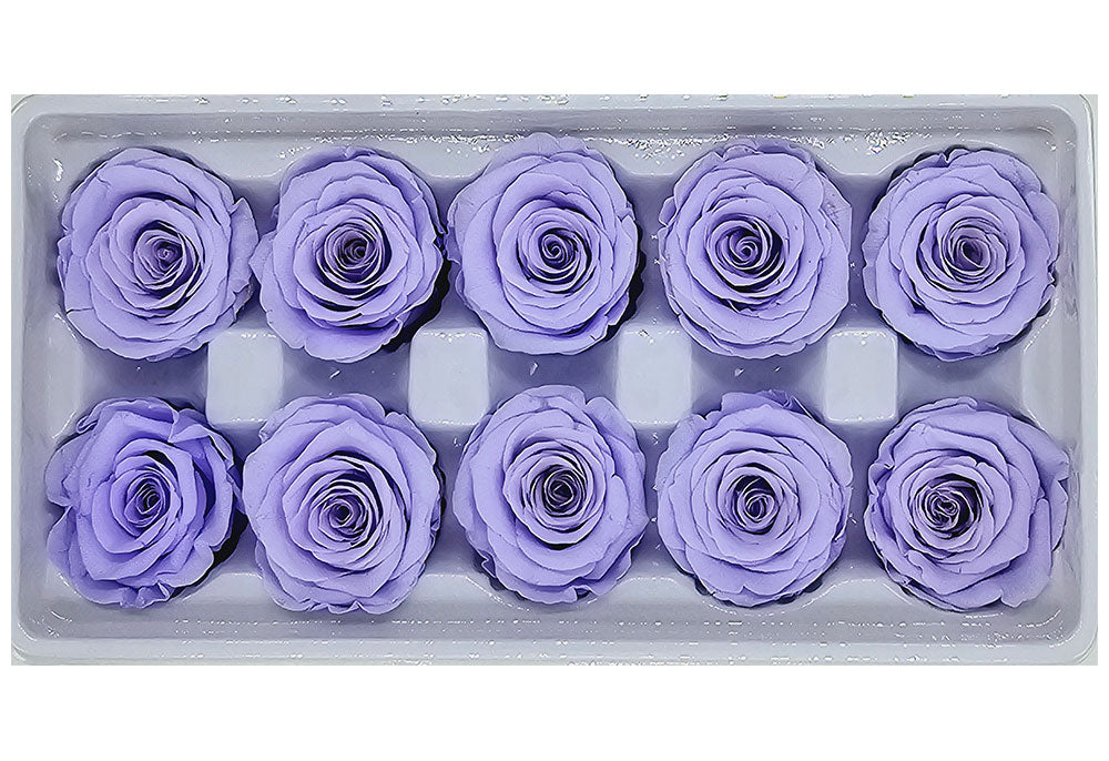 10 Preserved Roses In A Box - Bluish Purple